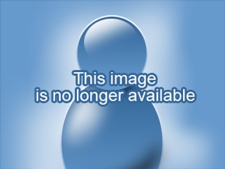 Live Sex - Video - vrazkalicious Live Sex - Video - vrazkalicious