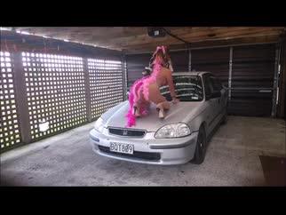 Live Sex - Video - Princess_tiTs4u Live Sex - Video - Princess_tiTs4u