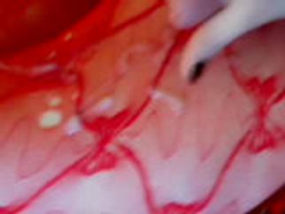 Live Sex - Video - HotHungShemale Live Sex - Video - HotHungShemale