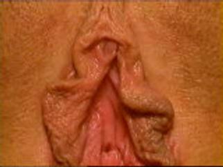 Live Sex - Video - TakeMeFuckMe Live Sex - Video - TakeMeFuckMe