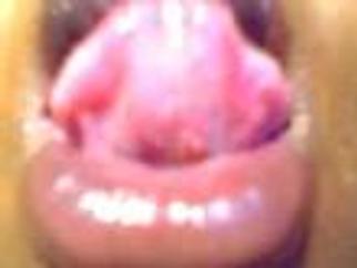 Live Sex - Video - BustyLatifah Live Sex - Video - BustyLatifah