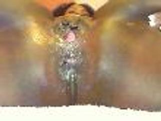 Live Sex - Video - BustyLatifah Live Sex - Video - BustyLatifah