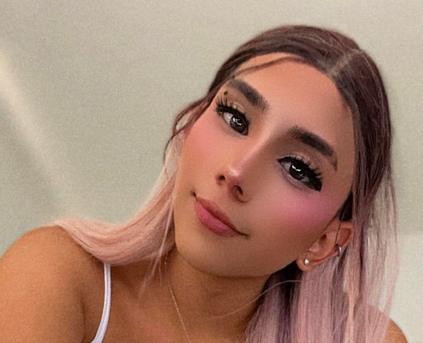 Trans - miasolldatty